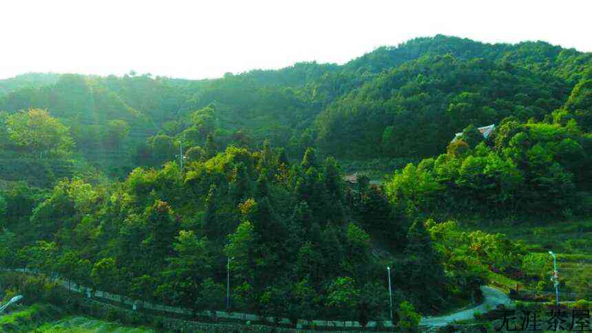 安溪十二茗山游客醉，万千意韵旷怀舒