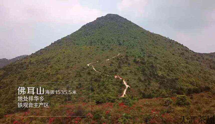 安溪十二茗山游客醉，万千意韵旷怀舒