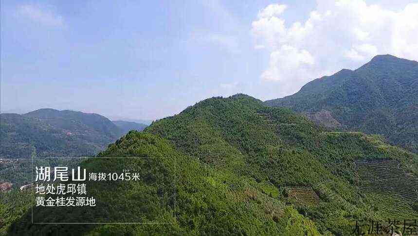 安溪十二茗山游客醉，万千意韵旷怀舒