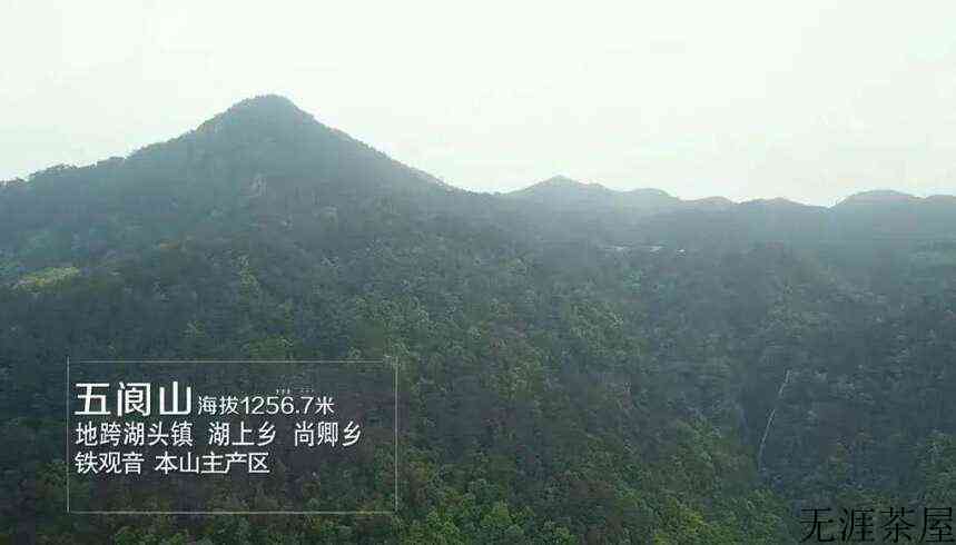 安溪十二茗山游客醉，万千意韵旷怀舒