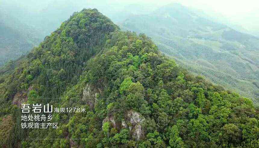 安溪十二茗山游客醉，万千意韵旷怀舒