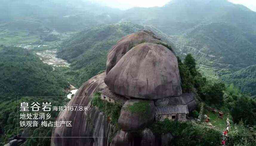 安溪十二茗山游客醉，万千意韵旷怀舒