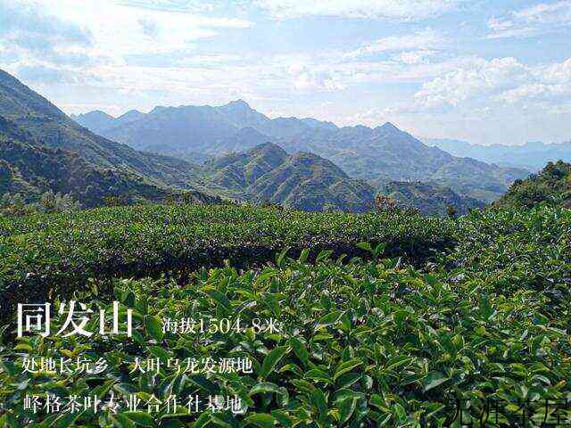 安溪十二茗山游客醉，万千意韵旷怀舒