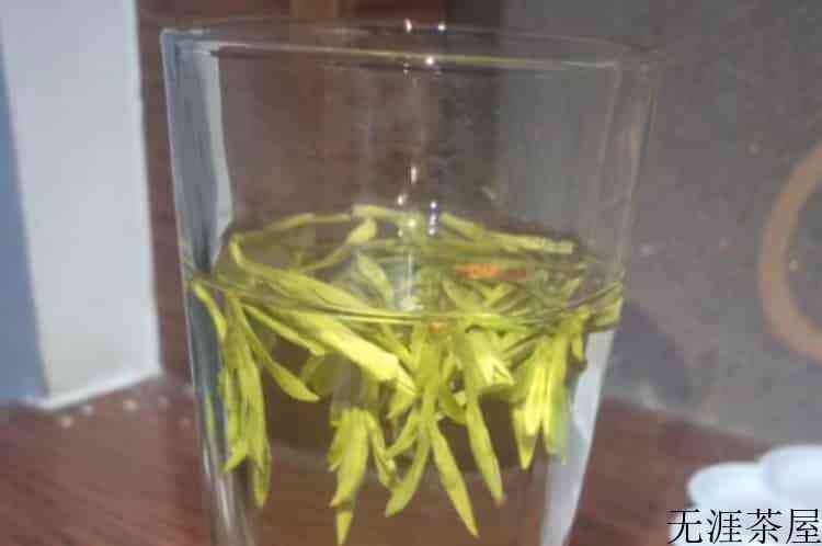 蒸汽煮茶壶适合什么蒸茶器适合煮什么茶？