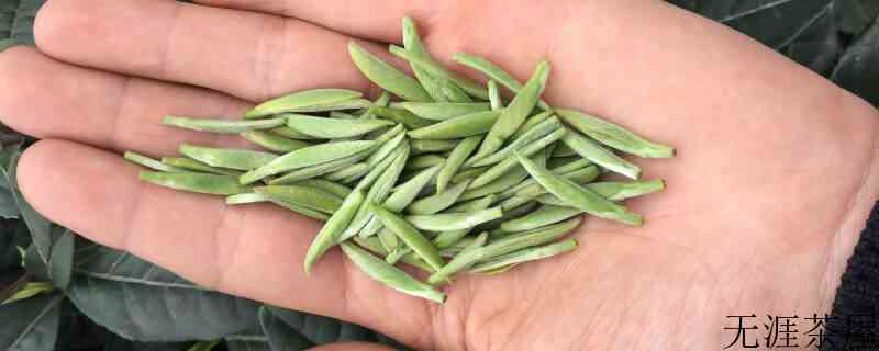 茉莉雀舌是什么茶