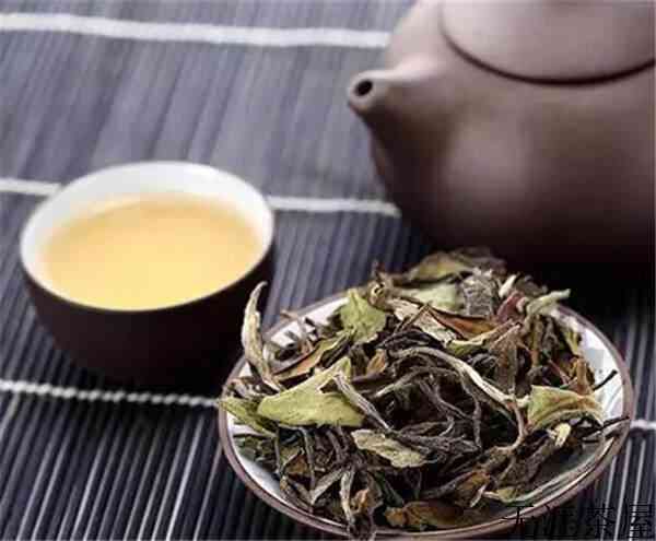 人间至味之白茶（人间至味之白茶清欢）