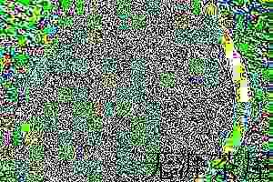 信阳毛尖用几度的水泡