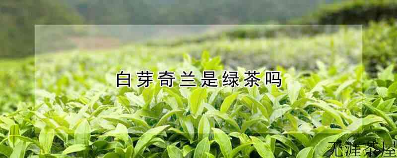 白芽奇兰是绿茶吗？（白芽奇兰是绿茶吗）