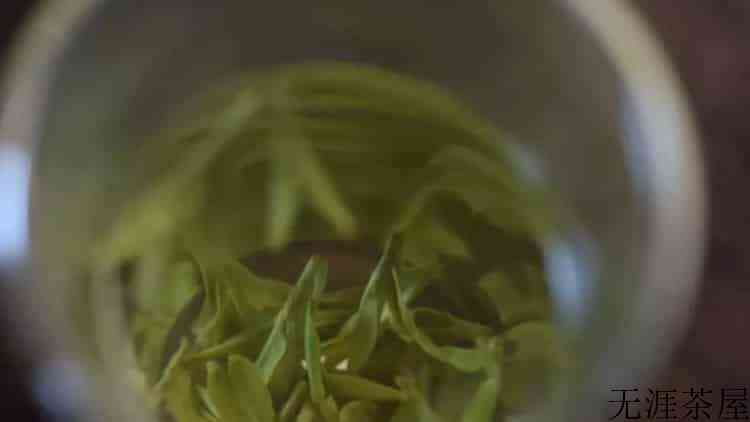 泡过的茶叶第二天还能泡吗（茶叶水第二天还可以喝吗?）