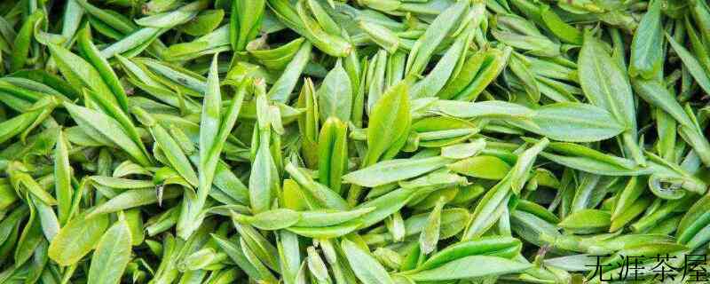 茶叶里有什么成分