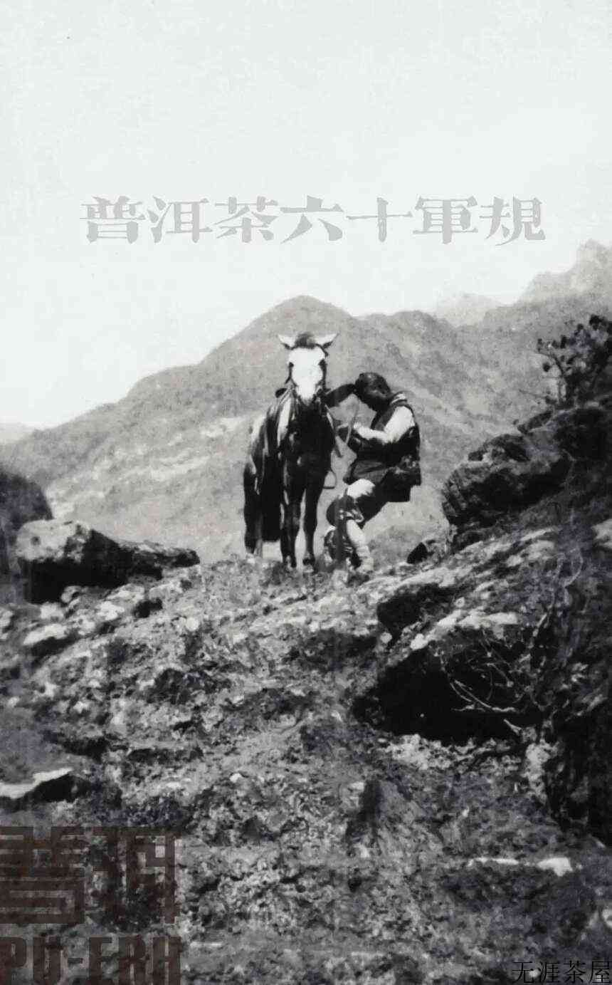 普洱茶六十军规（十六）
