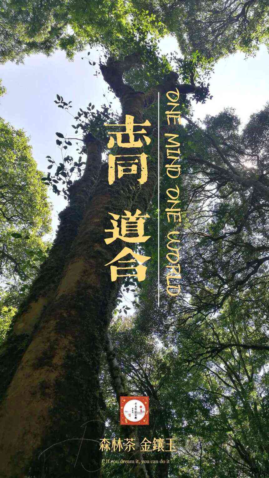 普洱茶六十军规（十六）