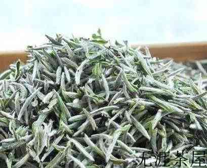 福鼎白茶和政和白茶有什么区别？