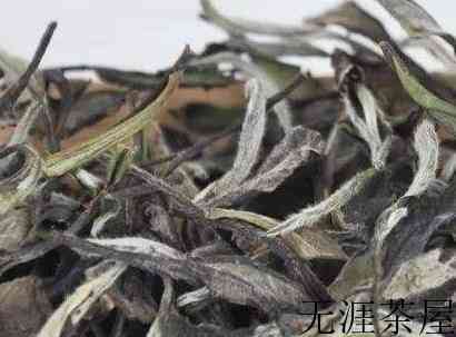 福鼎白茶和政和白茶有什么区别？