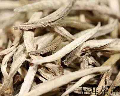 福鼎白茶和政和白茶有什么区别？