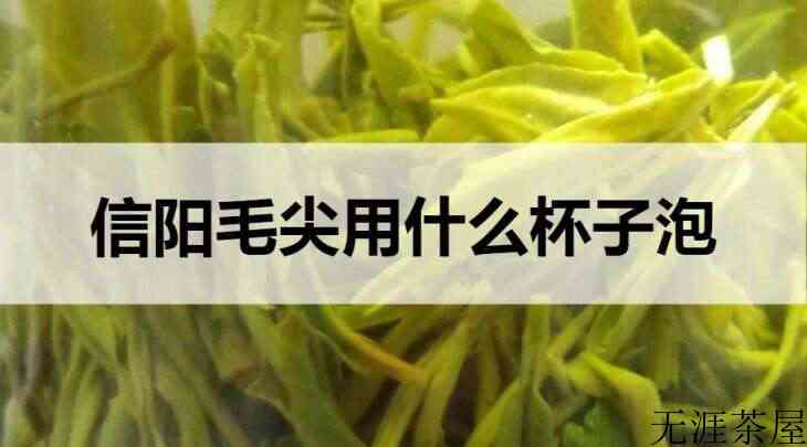 信阳毛尖用什么杯子泡？（信阳毛尖用什么杯子泡水好）
