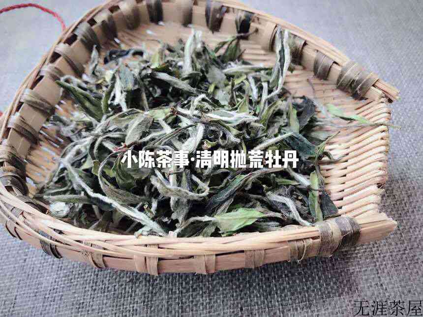 白茶的种类品种有哪些，白茶的种类及作用