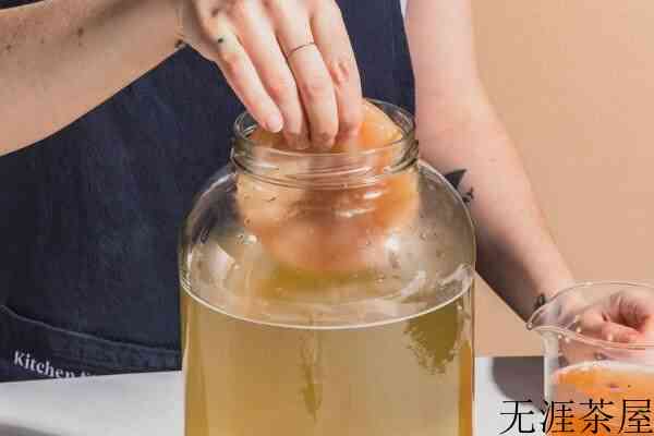 红茶菌菌种的制作方法_红茶菌菌种是怎么形成的
