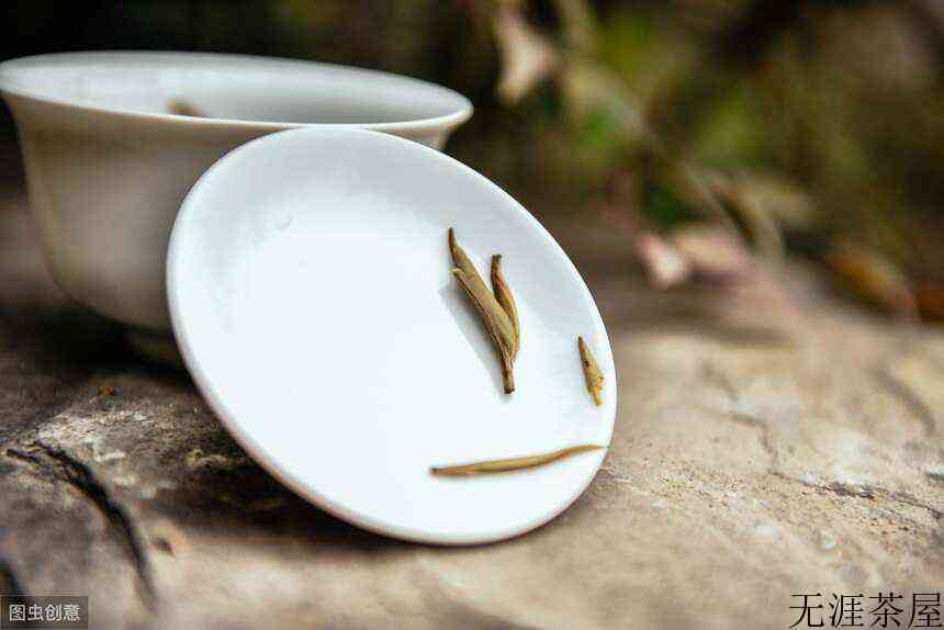 福鼎有机白茶「白毫银针」凭什么有更多升值空间