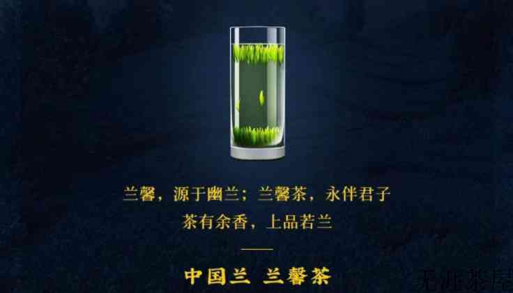 2022年兰馨雀舌春茶价格多少钱一斤？