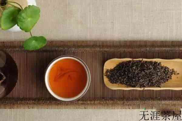 普洱茶怎么泡才正确方法_普洱茶怎么泡好喝