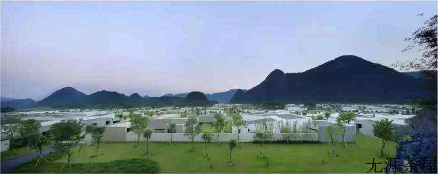 福利来袭！买茶叶，送吃喝玩乐住大礼包