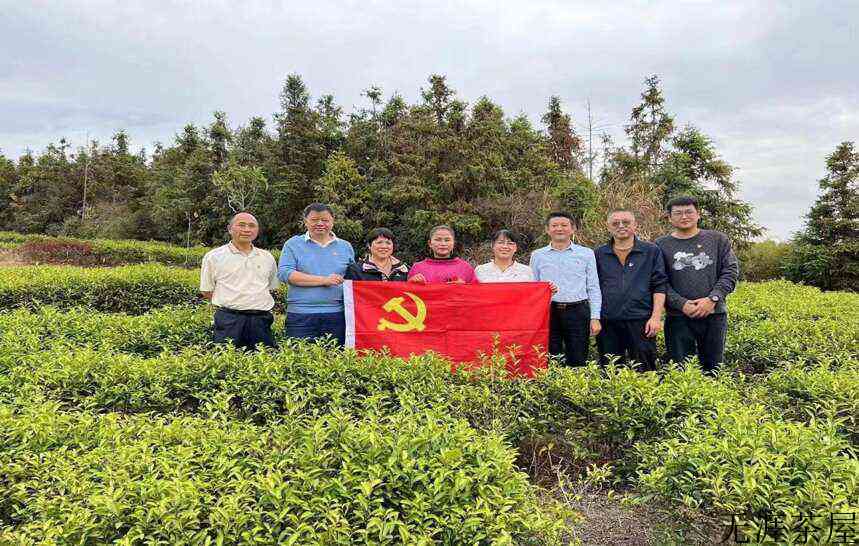 赣茶·快讯 | 践初心 担使命 九江濂溪区系列党员主题日活动