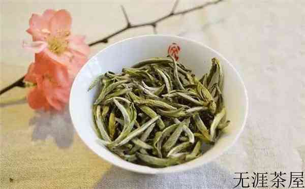 白茶概述,白茶介绍