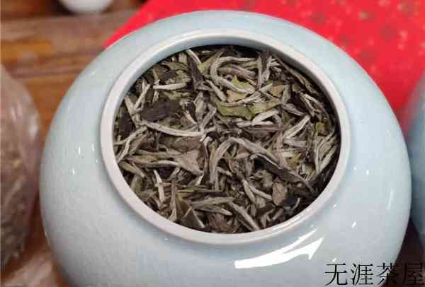 白茶概述,白茶介绍