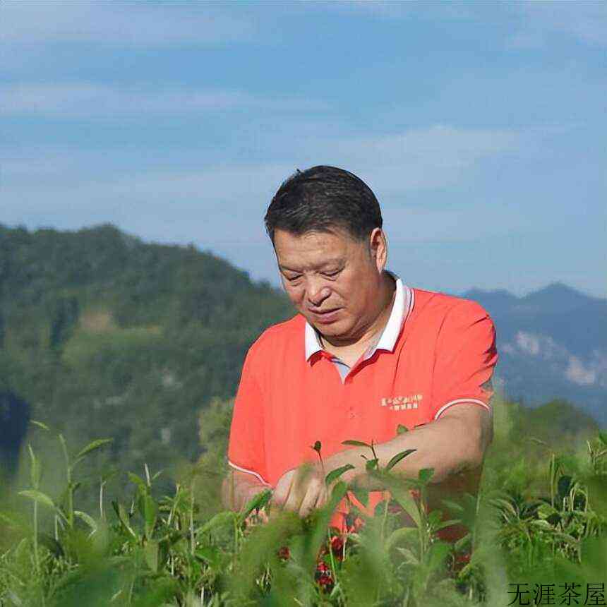 “国茶人物·制茶大师”名单公布，这4位湖北茶师入选