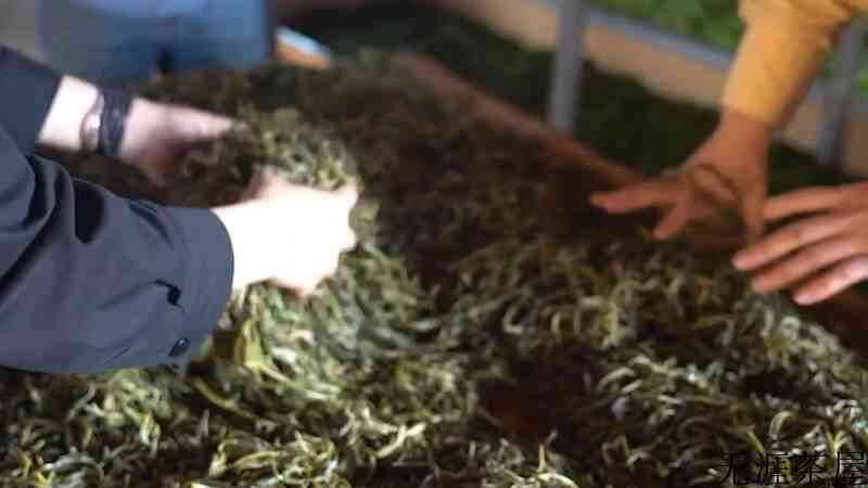 绿茶怎么分辨好不好（绿茶怎么分辨好不好喝）