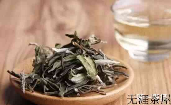 喝白茶对人体有什么好处