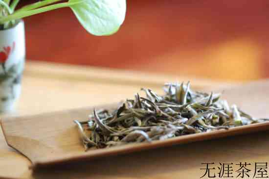 福鼎白茶哪个镇最好