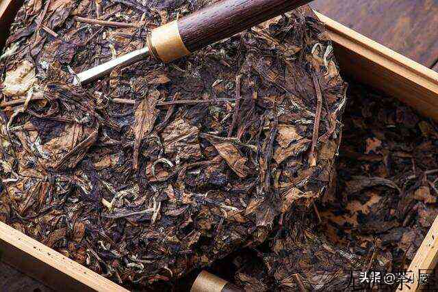 你家的茶叶过了没有？快来看看