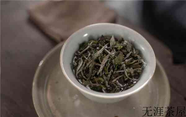 一篇文章带你全面了解白茶知识！
