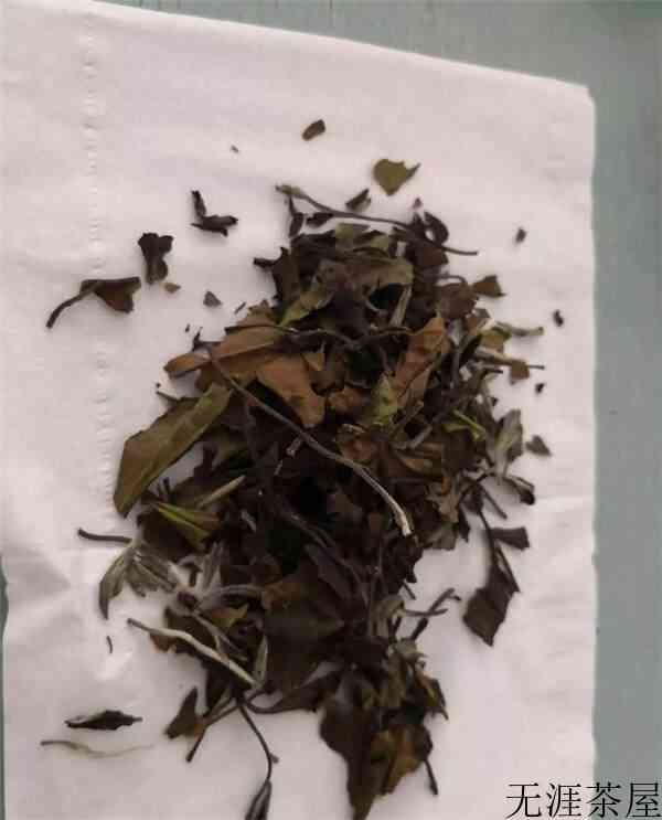 一篇文章带你全面了解白茶知识！