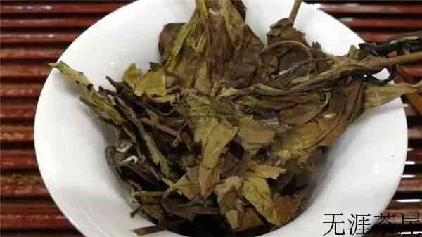 一篇文章带你全面了解白茶知识！