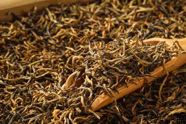 滇红茶属于什么滇红茶哪个品种最好喝