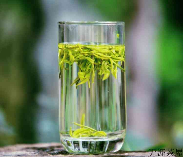 安吉白茶在哪里？具体产地在哪里？老人喝安吉白茶好吗？
