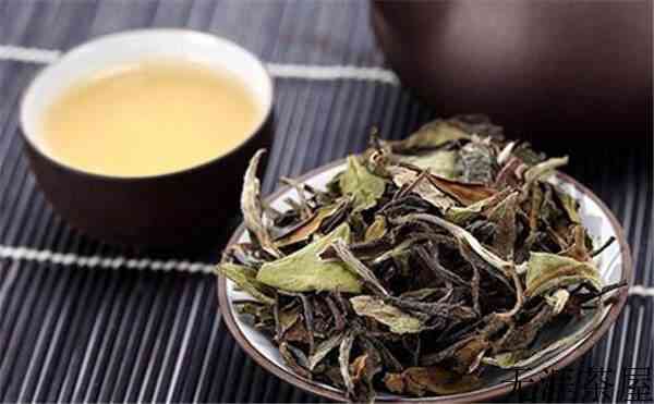 煮一壶白茶,温一段时光