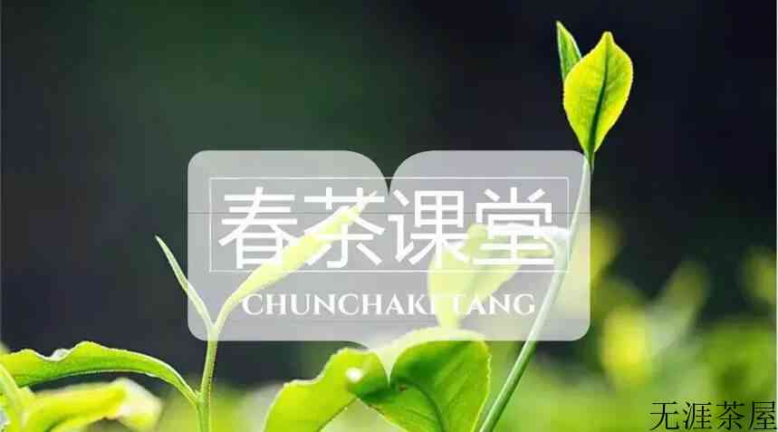 顶级普洱生茶口感描述