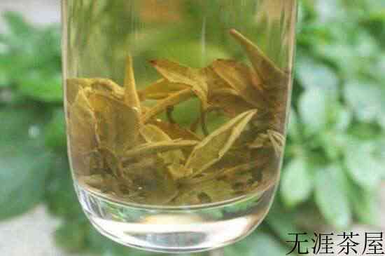 茉莉龙珠泡开后为什么都是梗，茉莉龙珠泡开后什么样？