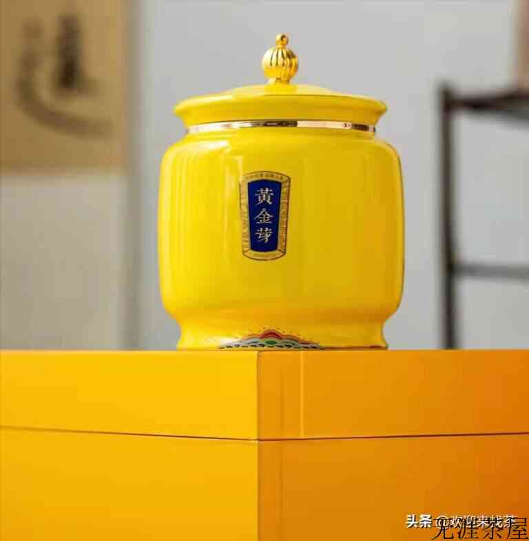2022黄金芽茶叶价格（头采要2000到3000一斤）