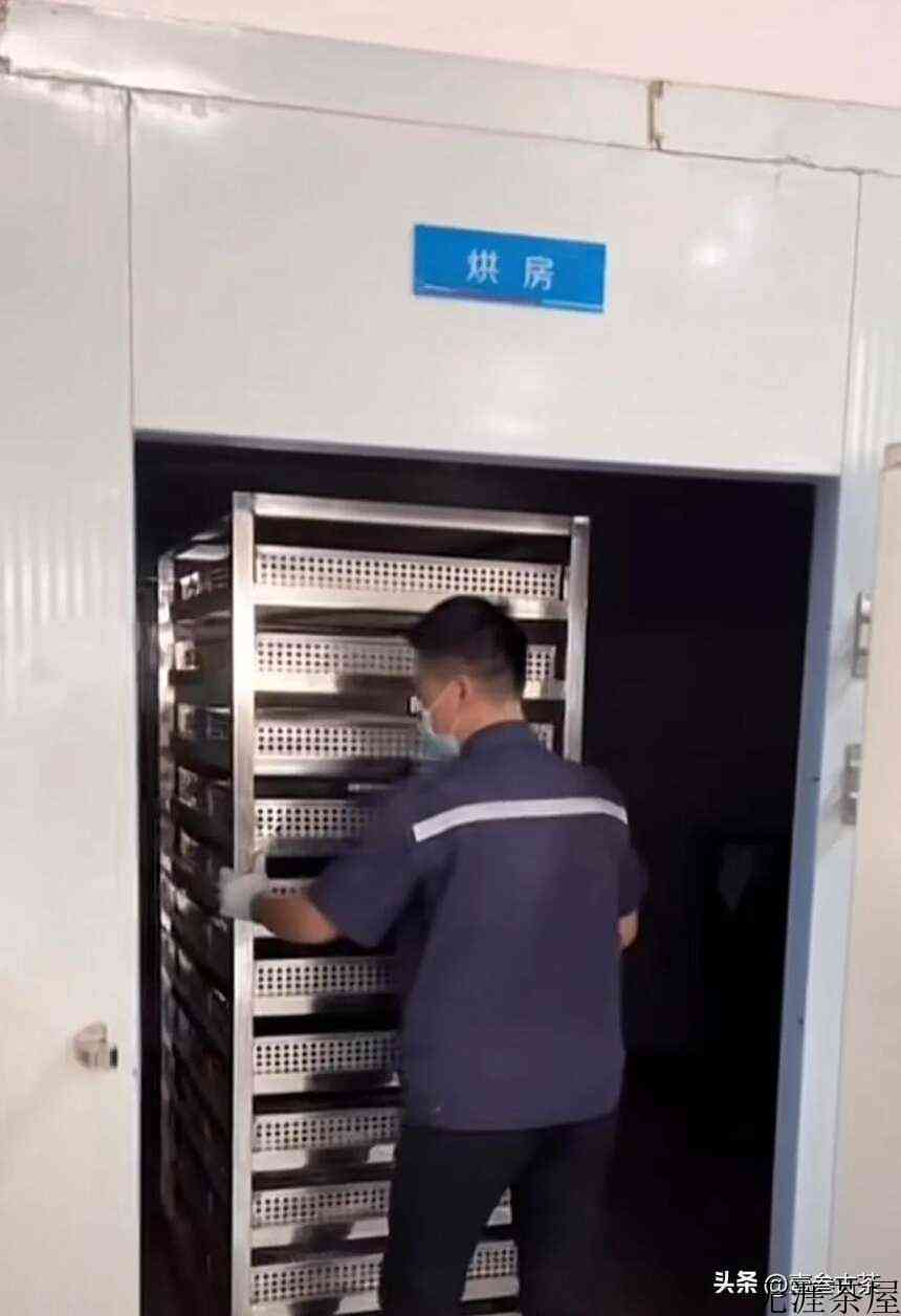 为什么熟茶喝了会上火？
