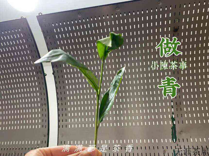 从水仙、肉桂，到大红袍，为什么有的岩茶汤色很深，茶味却很淡？