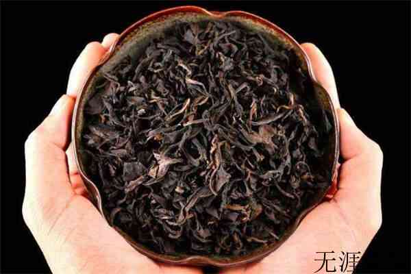 关于白茶,你一定要知道的事!