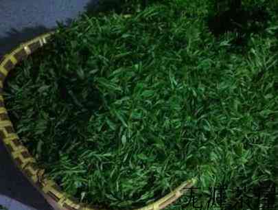 白岳黄芽属于是什么茶？具体饮用功效有哪些？