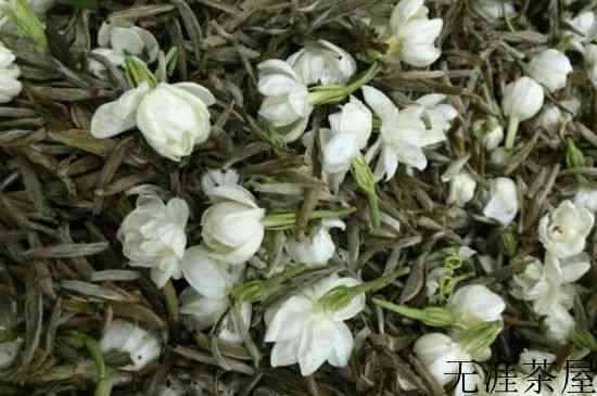 茉莉银针口感，茉莉银针是什么味道？