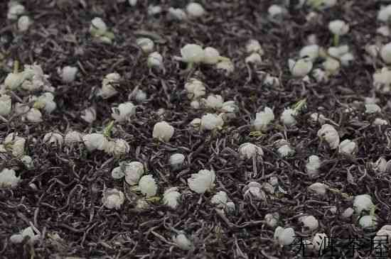 茉莉茶的种类和等级，茉莉花茶的分类