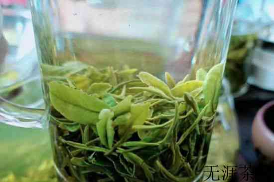 最刮油脂的茶是红茶还是绿茶，绿茶和红茶谁最刮油脂？